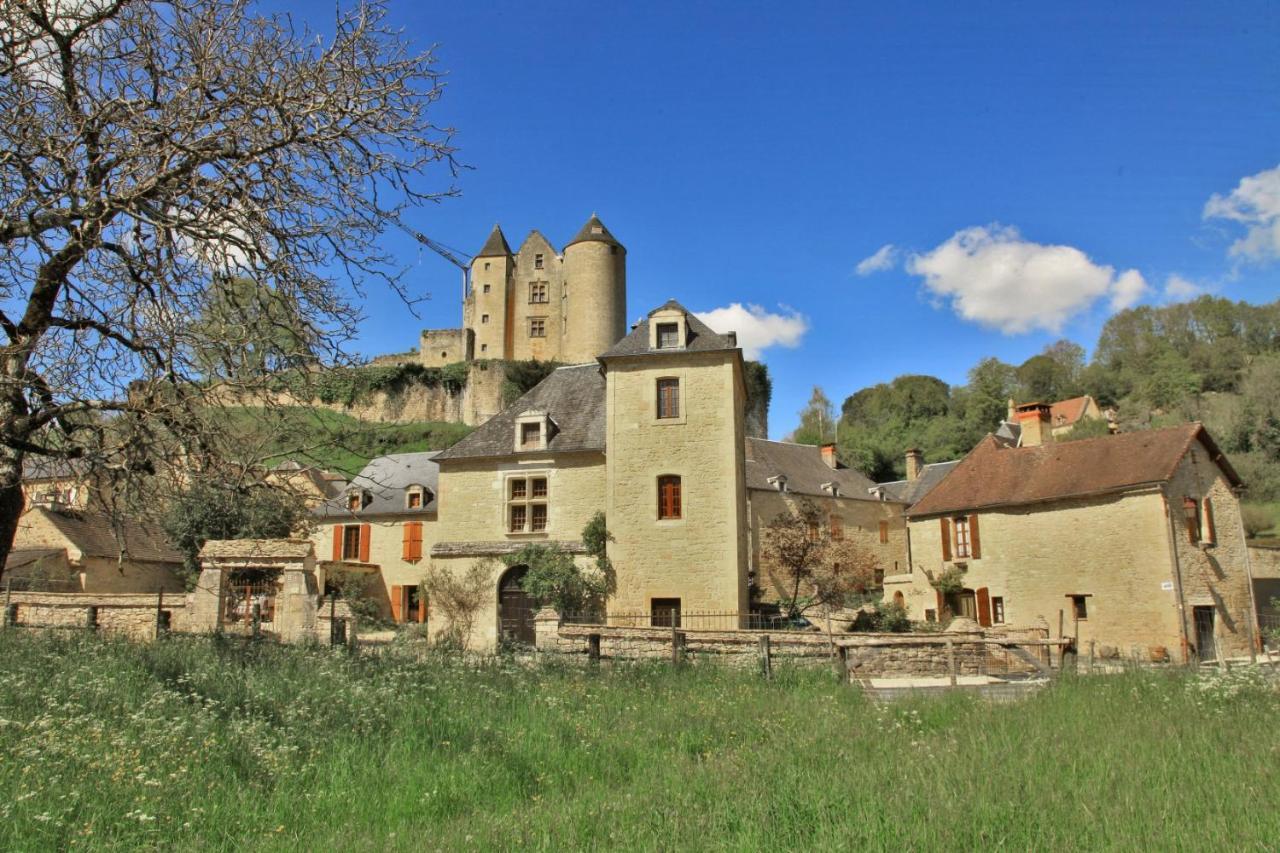 petite maison en pierre au coeur du Périgord noir Salignac Eyvigues Extérieur photo