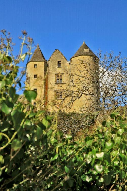 petite maison en pierre au coeur du Périgord noir Salignac Eyvigues Extérieur photo