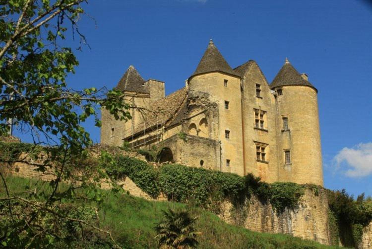 Villa petite maison en pierre au coeur du Périgord noir à Salignac Eyvigues Extérieur photo