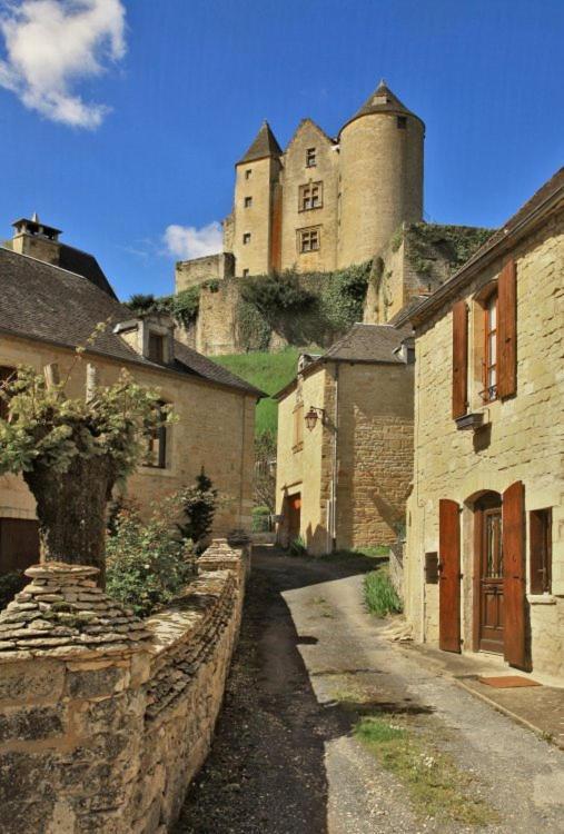 petite maison en pierre au coeur du Périgord noir Salignac Eyvigues Extérieur photo