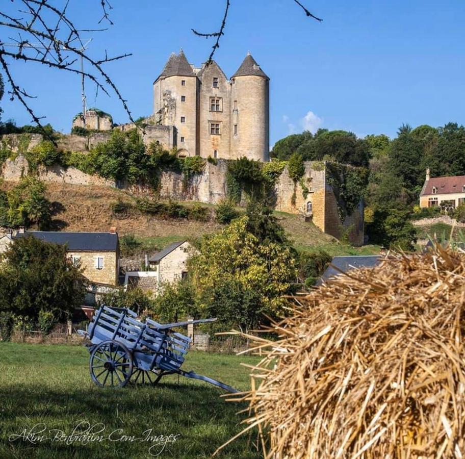 petite maison en pierre au coeur du Périgord noir Salignac Eyvigues Extérieur photo